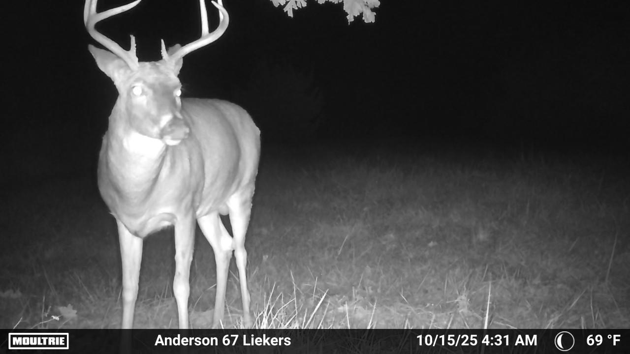 Luxury Country Living with Breathtaking Views 40 Minutes from Overland Park