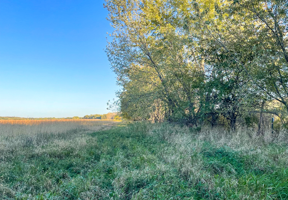 Bird Hunter's Paradise