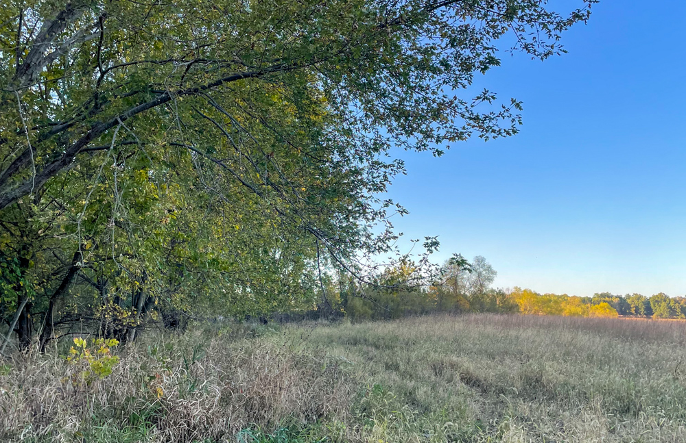 Bird Hunter's Paradise