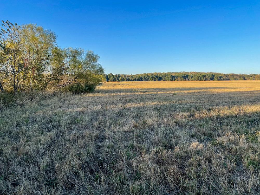 Bird Hunter's Paradise