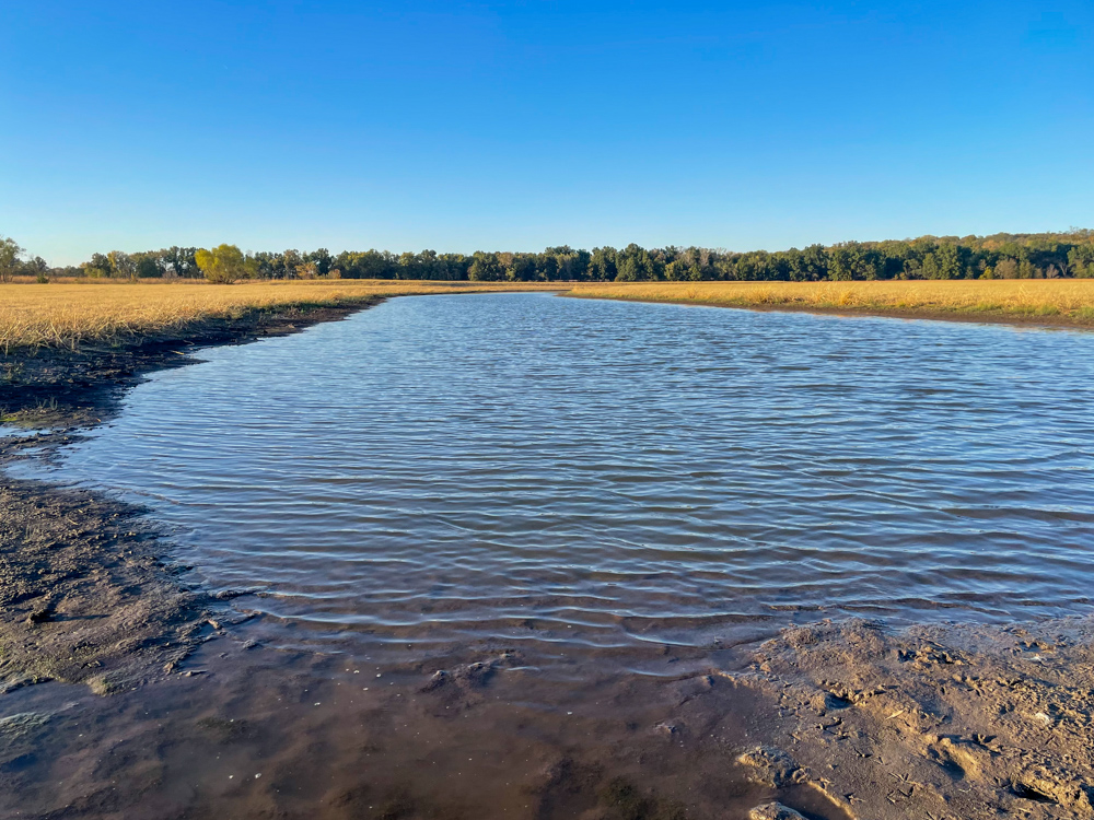 Bird Hunter's Paradise