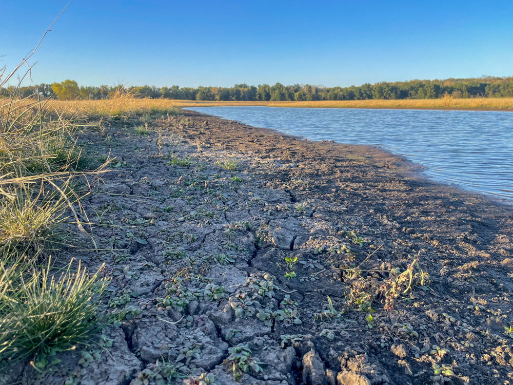 Bird Hunter's Paradise
