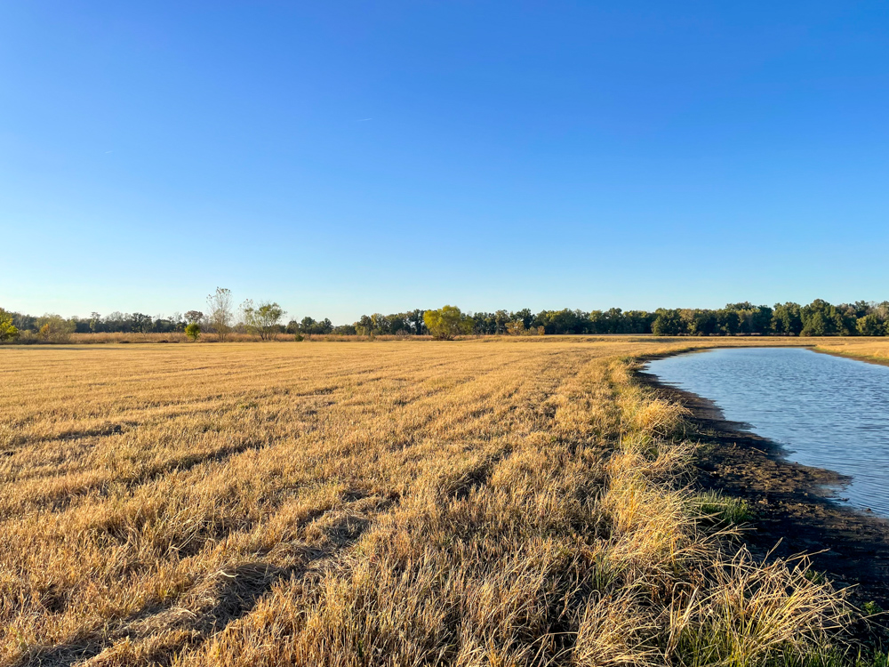 Bird Hunter's Paradise