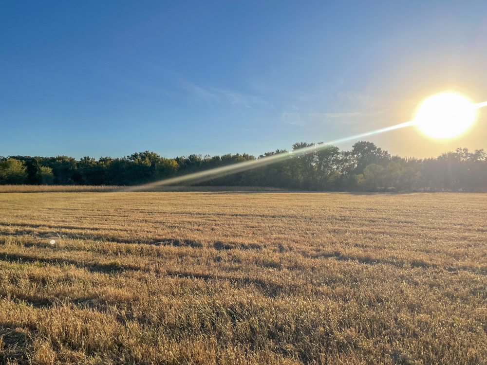 Bird Hunter's Paradise