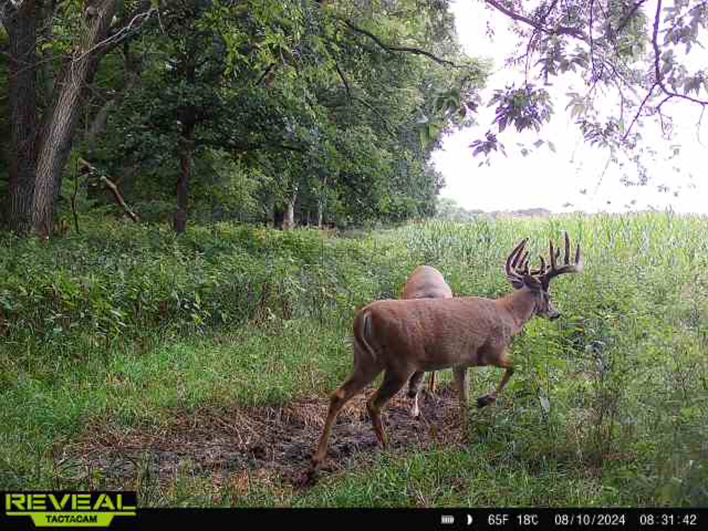 Fully Turn-Key Republic County Stunner