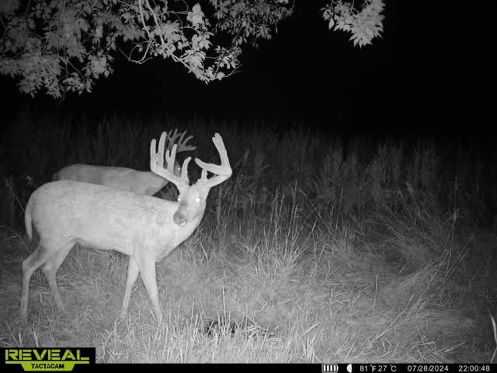 Fully Turn-Key Republic County Stunner