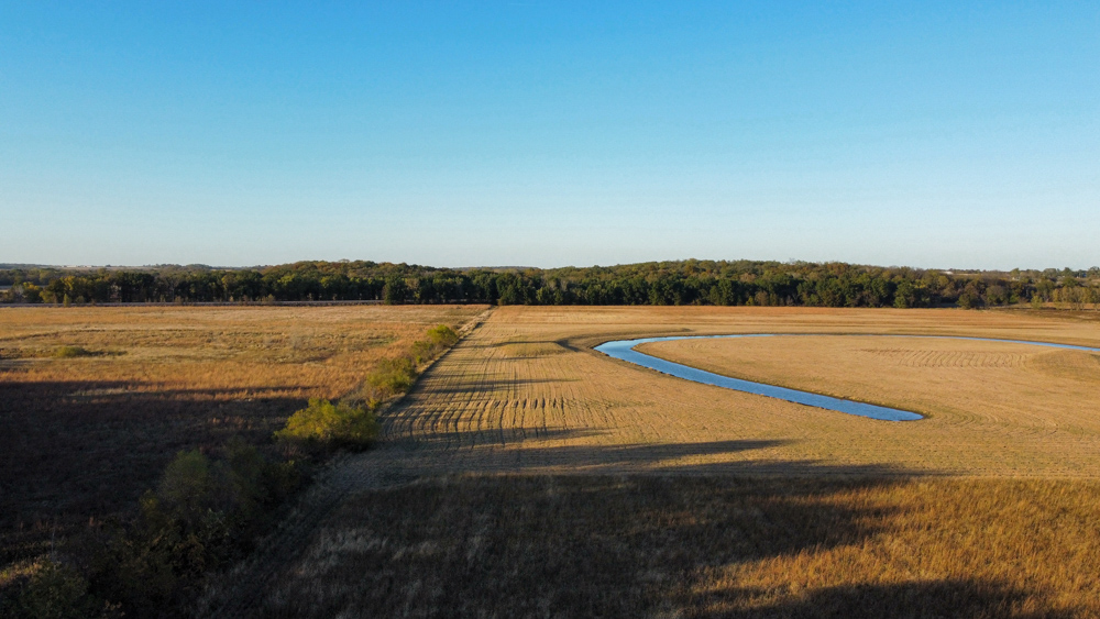 Bird Hunter's Paradise