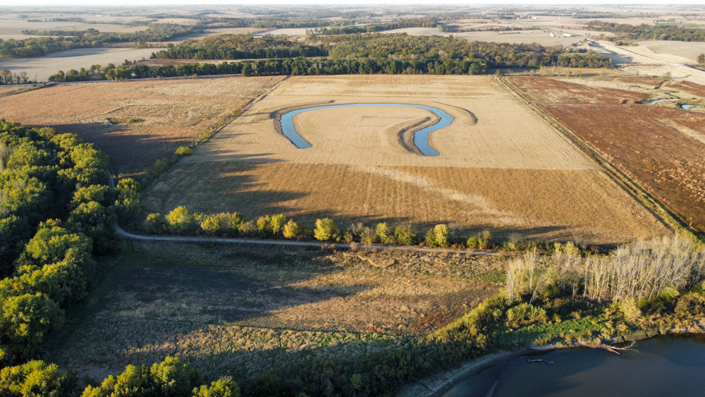 Bird Hunter's Paradise