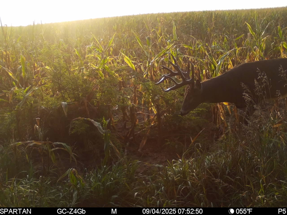 Fully Turn-Key Republic County Stunner