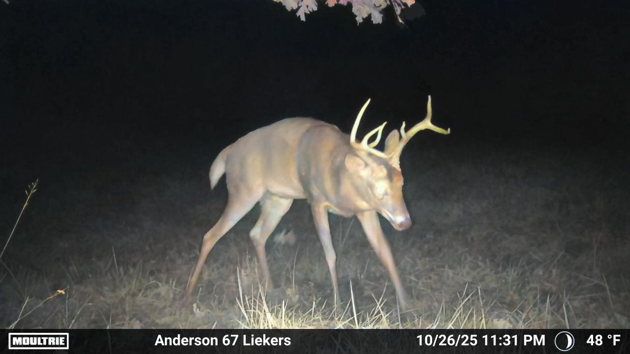 Luxury Country Living with Breathtaking Views 40 Minutes from Overland Park