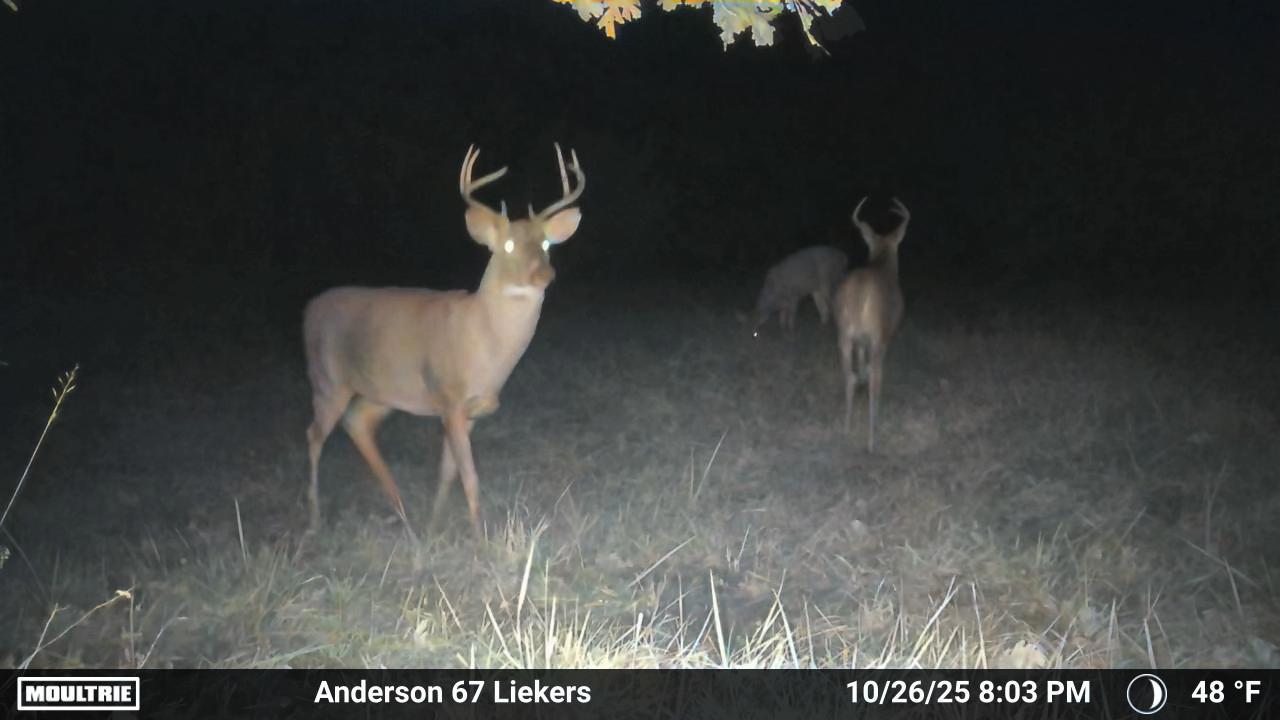 Luxury Country Living with Breathtaking Views 40 Minutes from Overland Park