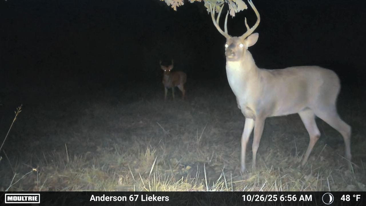 Luxury Country Living with Breathtaking Views 40 Minutes from Overland Park