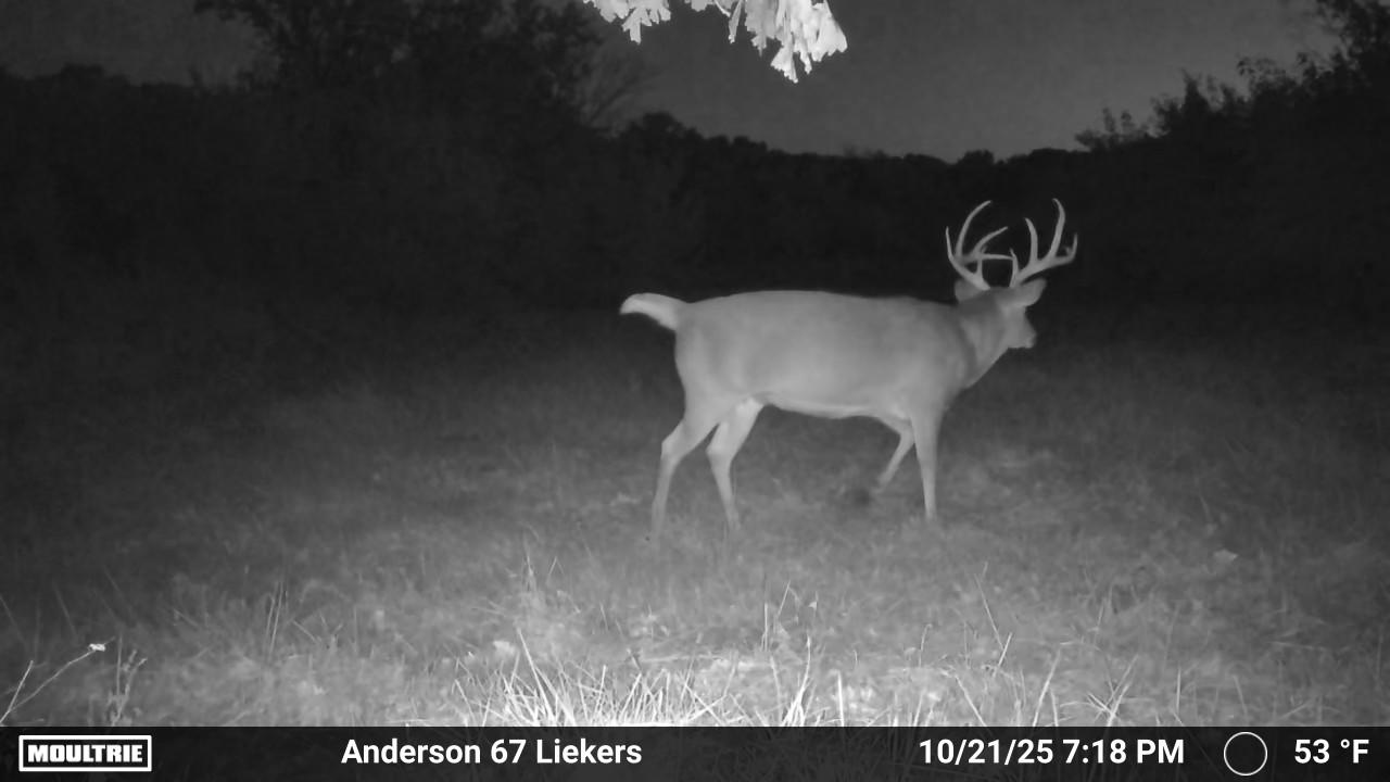 Luxury Country Living with Breathtaking Views 40 Minutes from Overland Park