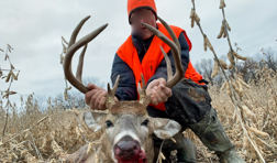 Hunting Paradise with Income