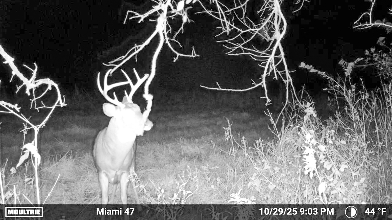 Multi-Use Land with Great Recreational Opportunities