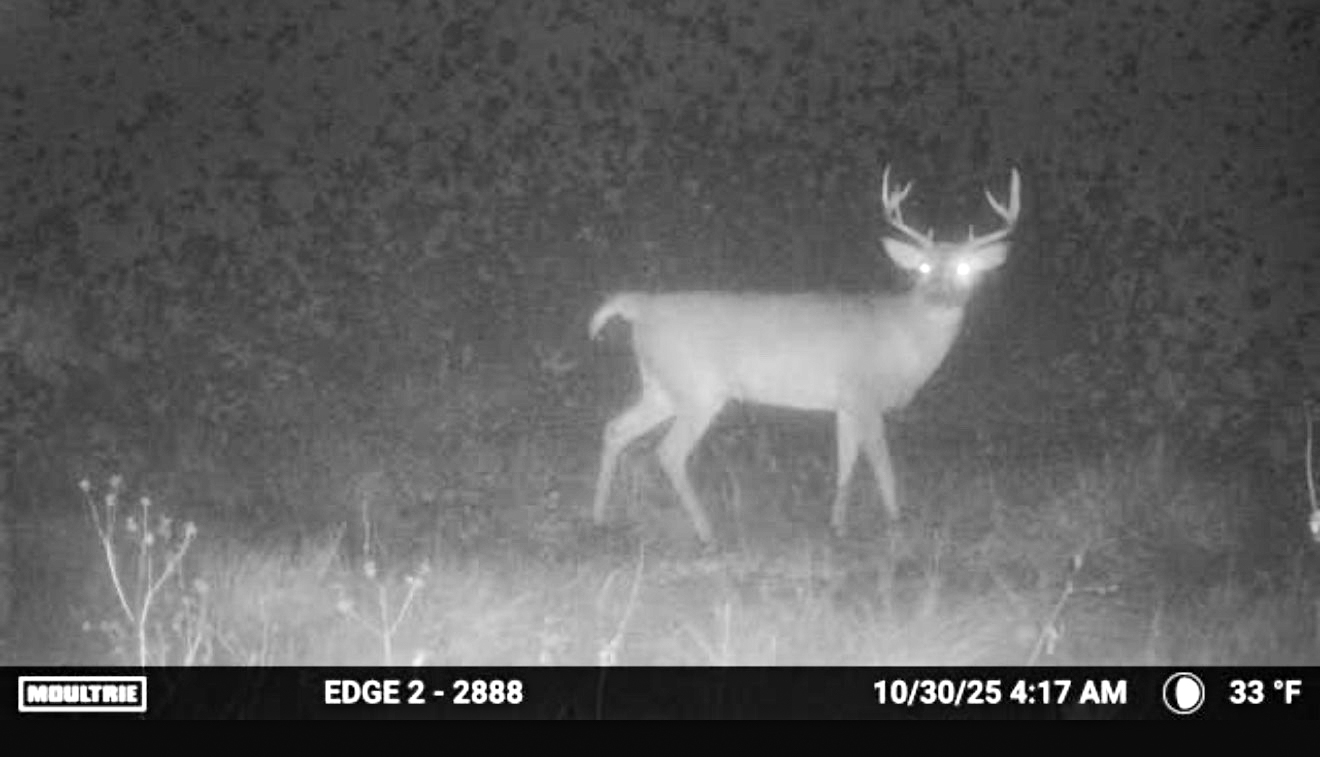 Multi-Use Land with Great Recreational Opportunities