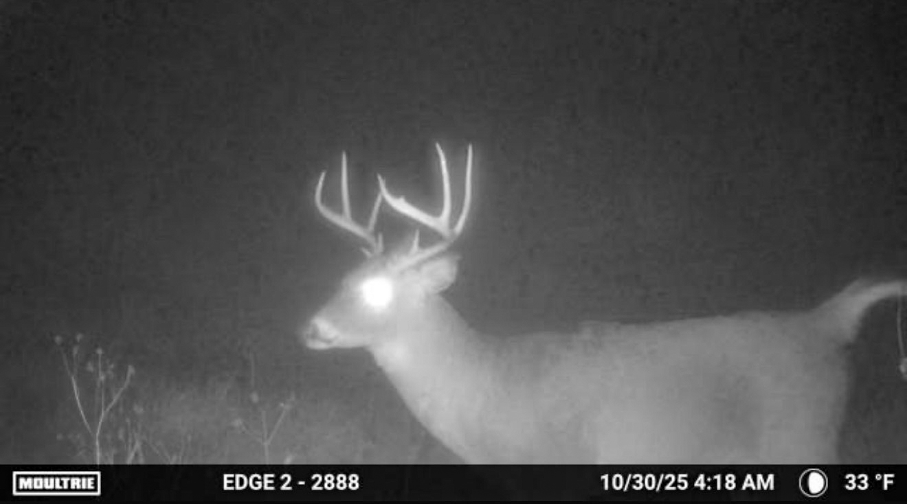 Multi-Use Land with Great Recreational Opportunities