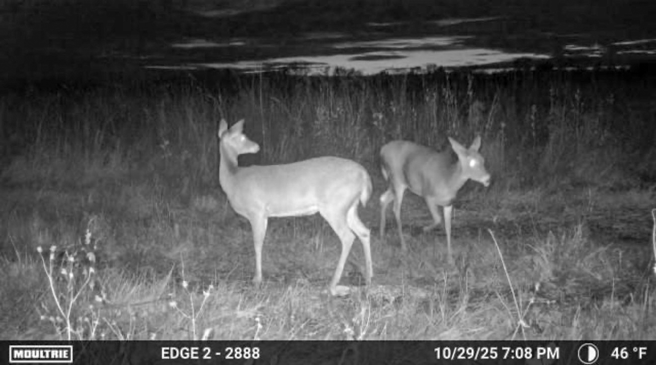 Multi-Use Land with Great Recreational Opportunities