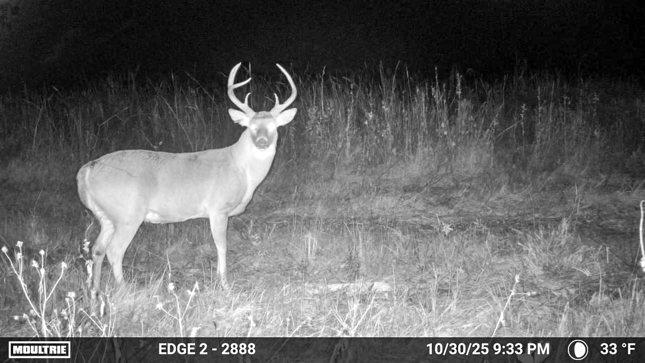 Multi-Use Land with Great Recreational Opportunities