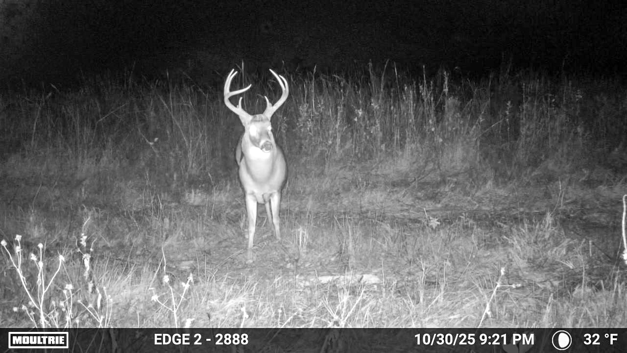 Multi-Use Land with Great Recreational Opportunities