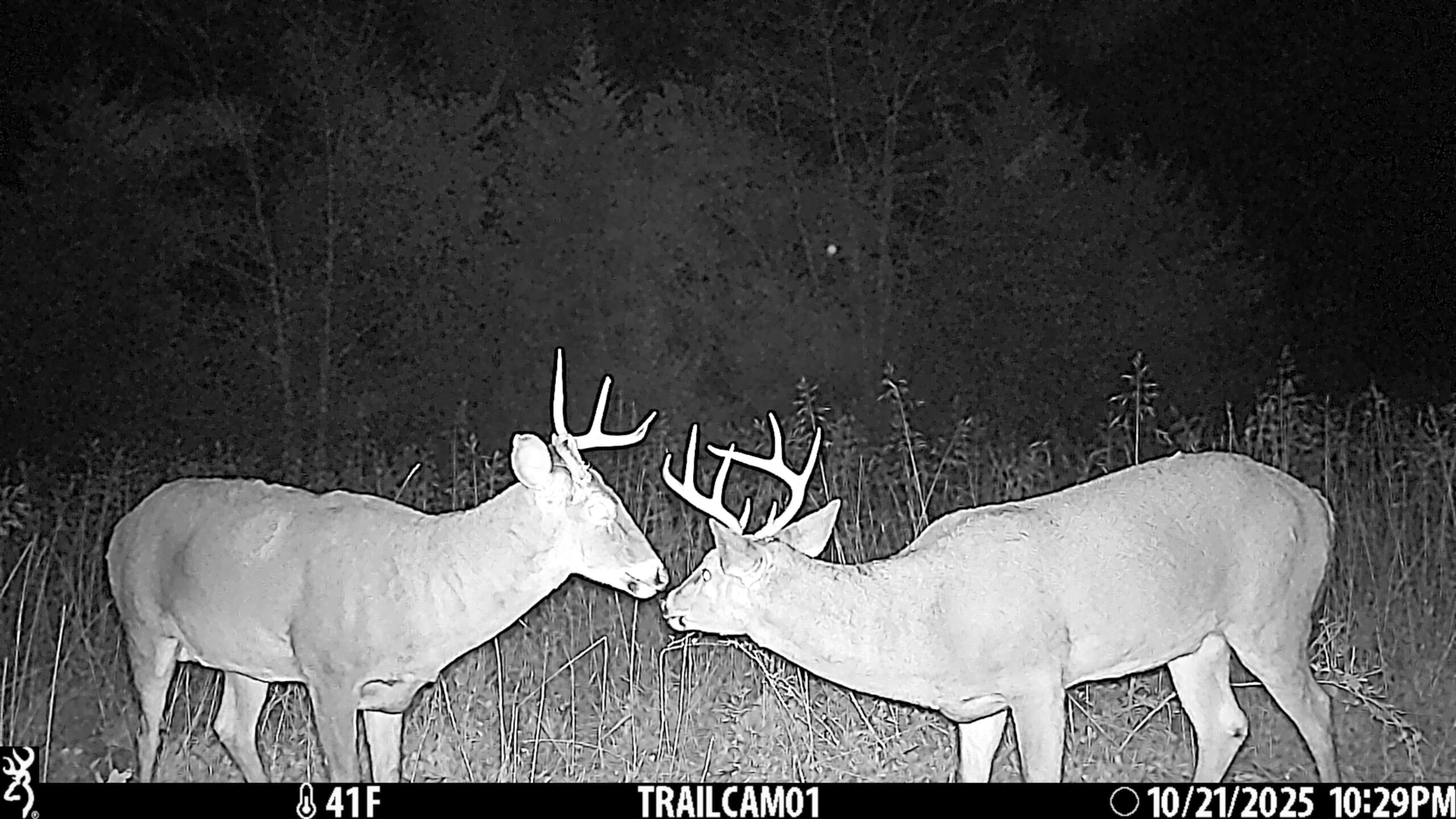 Exceptional Pasture Farm with World-Class Hunting & Recreational Potential