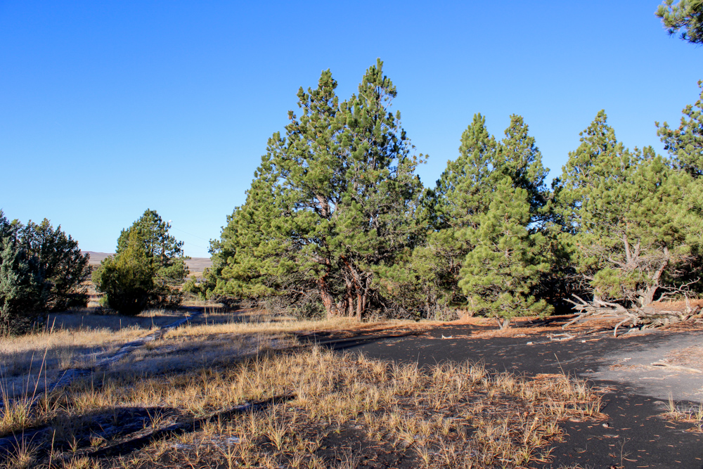 Juniper Hills Build Site