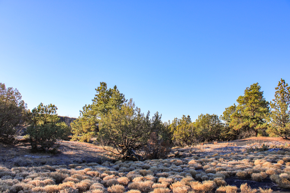 Juniper Hills Build Site