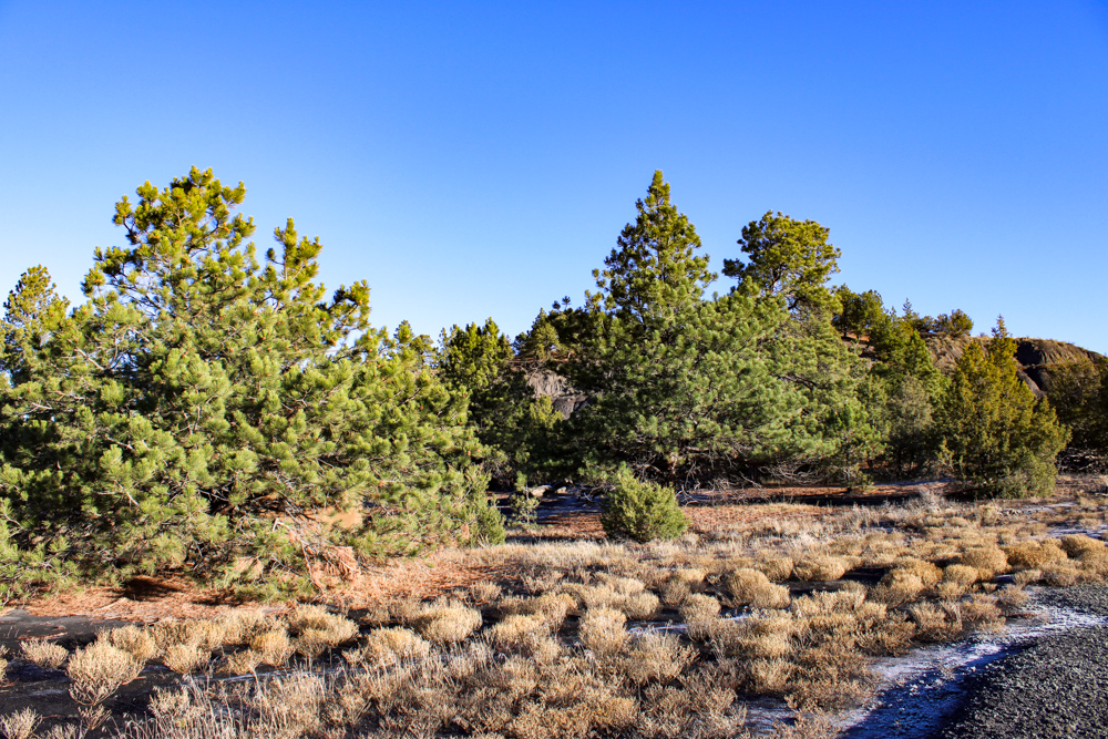 Juniper Hills Build Site