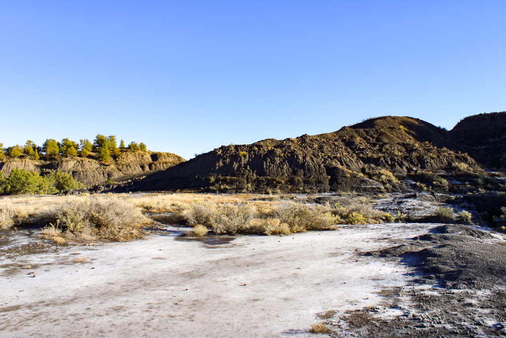 Juniper Hills Build Site