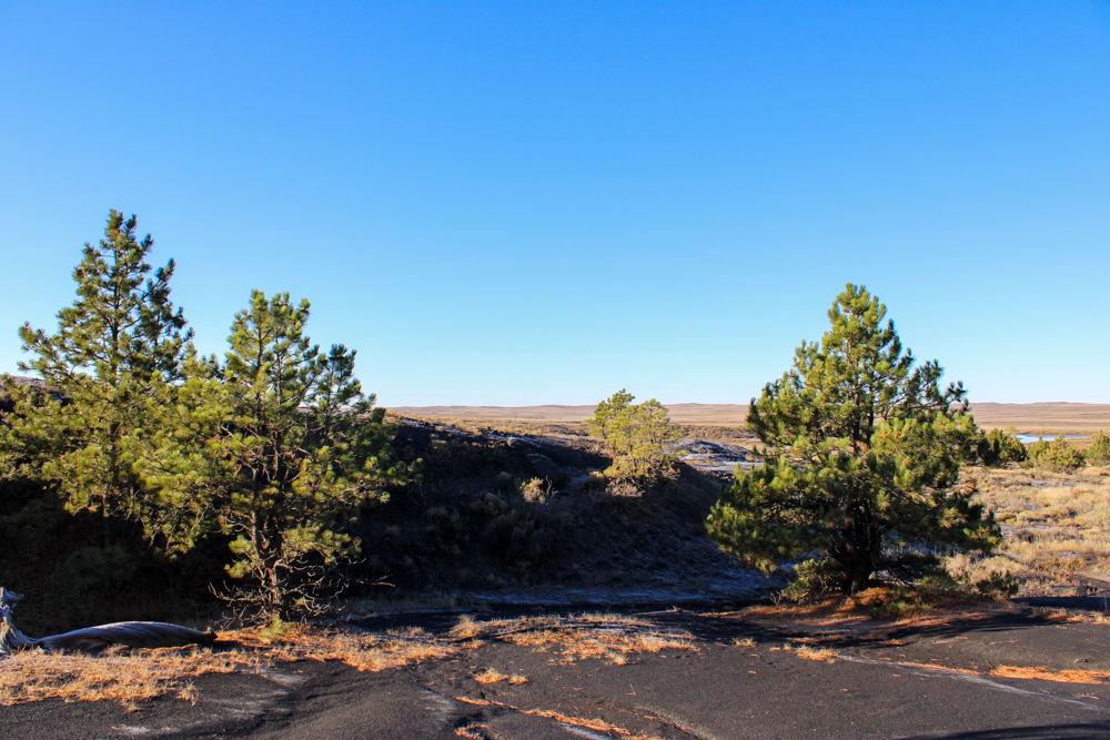 Juniper Hills Build Site