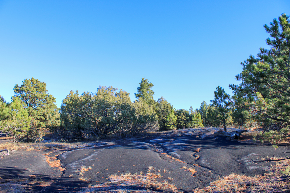 Juniper Hills Build Site