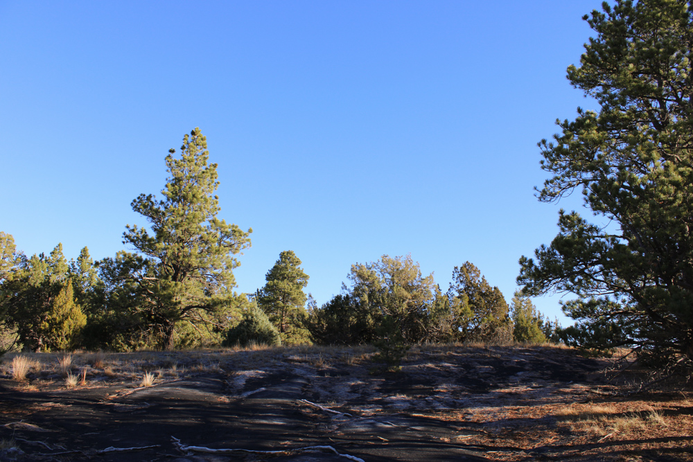 Juniper Hills Build Site