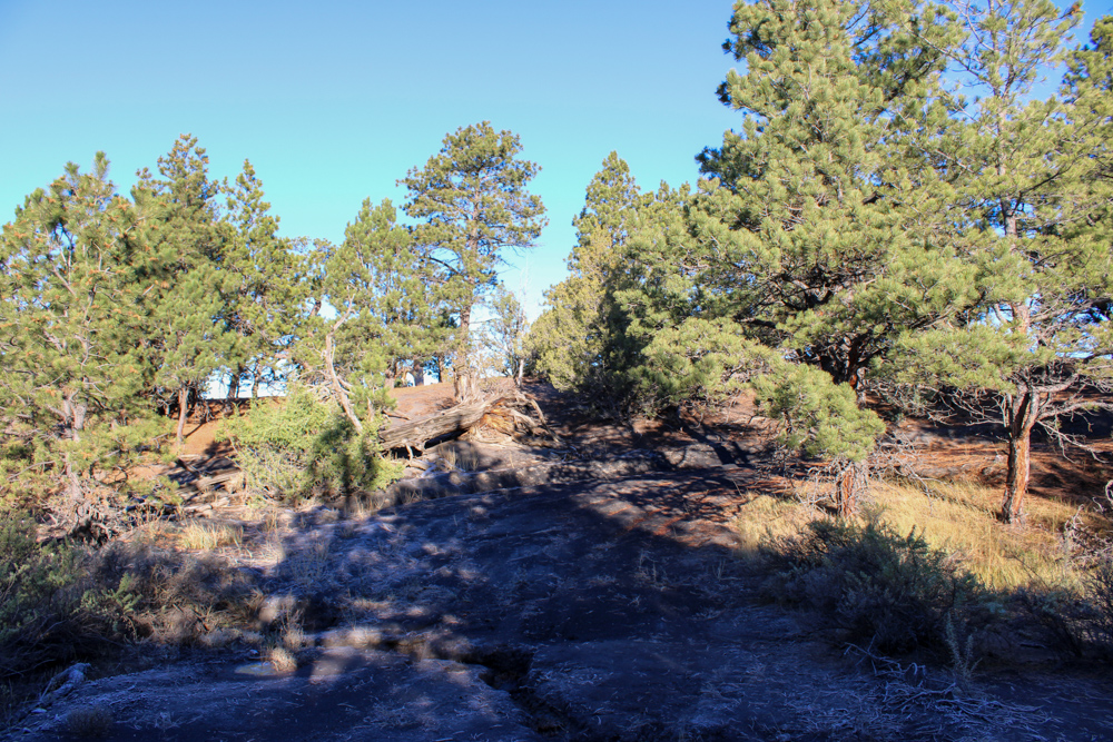 Juniper Hills Build Site