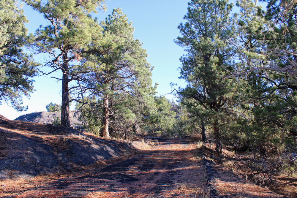 Juniper Hills Build Site