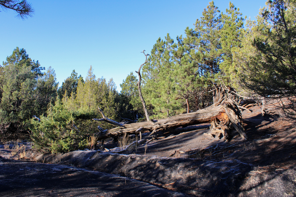 Juniper Hills Build Site