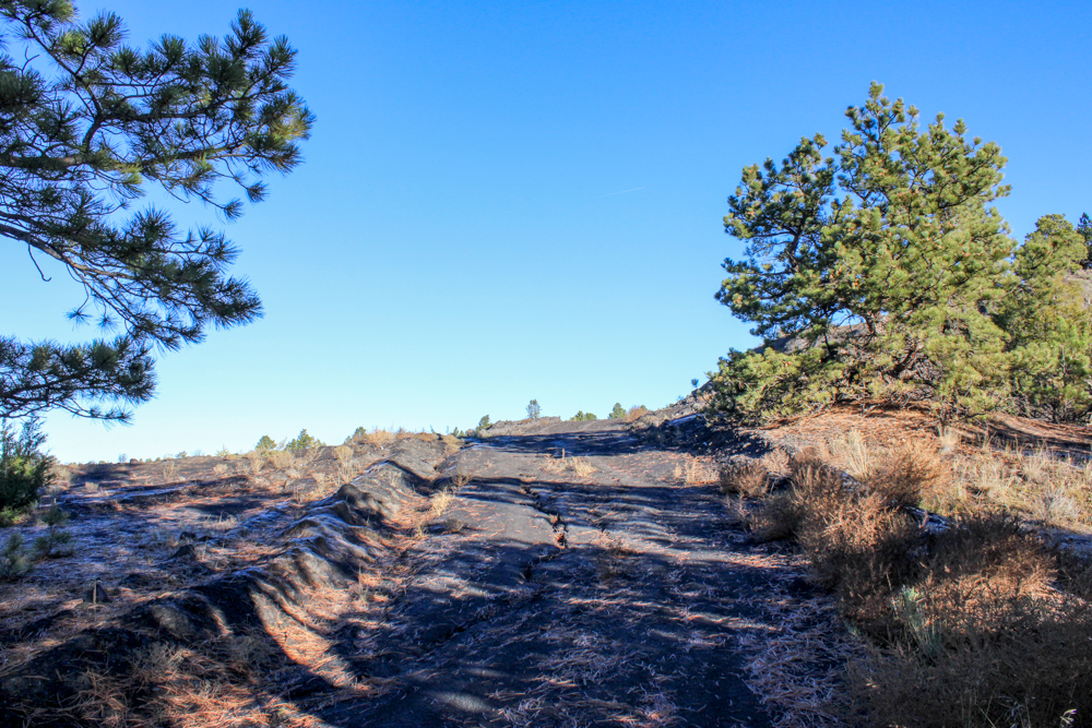 Juniper Hills Build Site