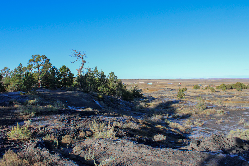Juniper Hills Build Site