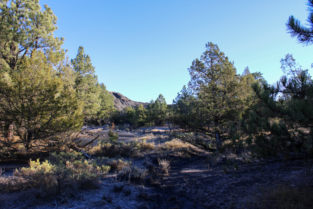 Juniper Hills Build Site