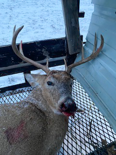Hunting Paradise with Income