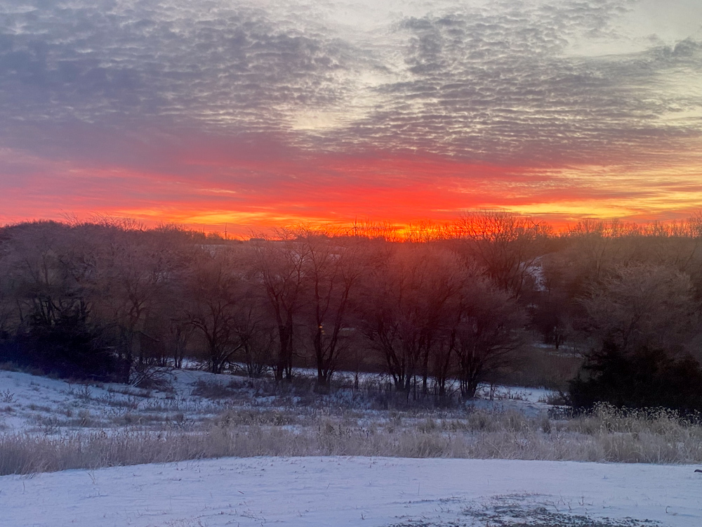 Country Living with Income