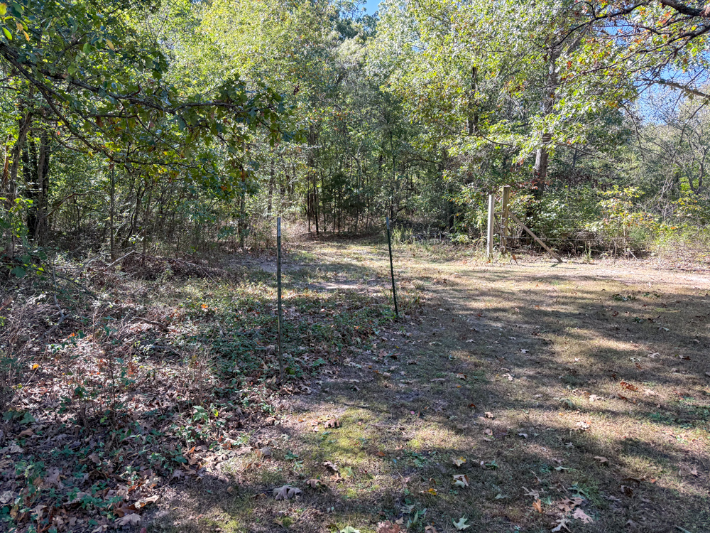Premier Build Sites and Trophy Deer Habitat Near Carthage