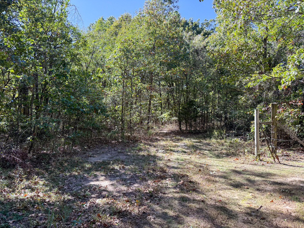 Premier Build Sites and Trophy Deer Habitat Near Carthage