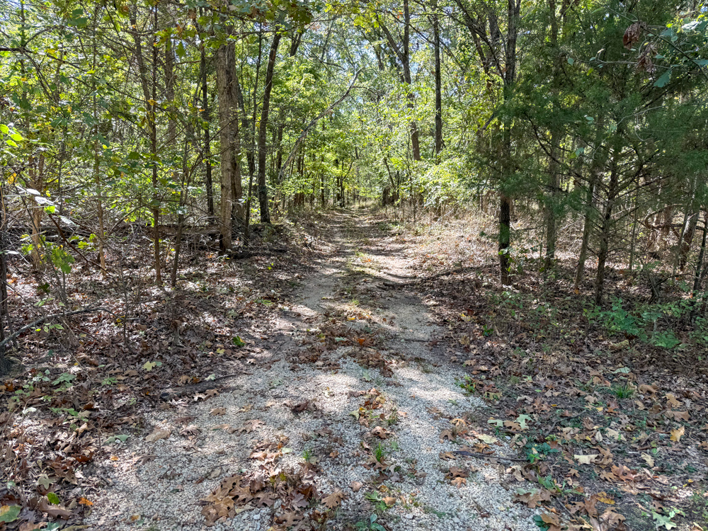 Premier Build Sites and Trophy Deer Habitat Near Carthage