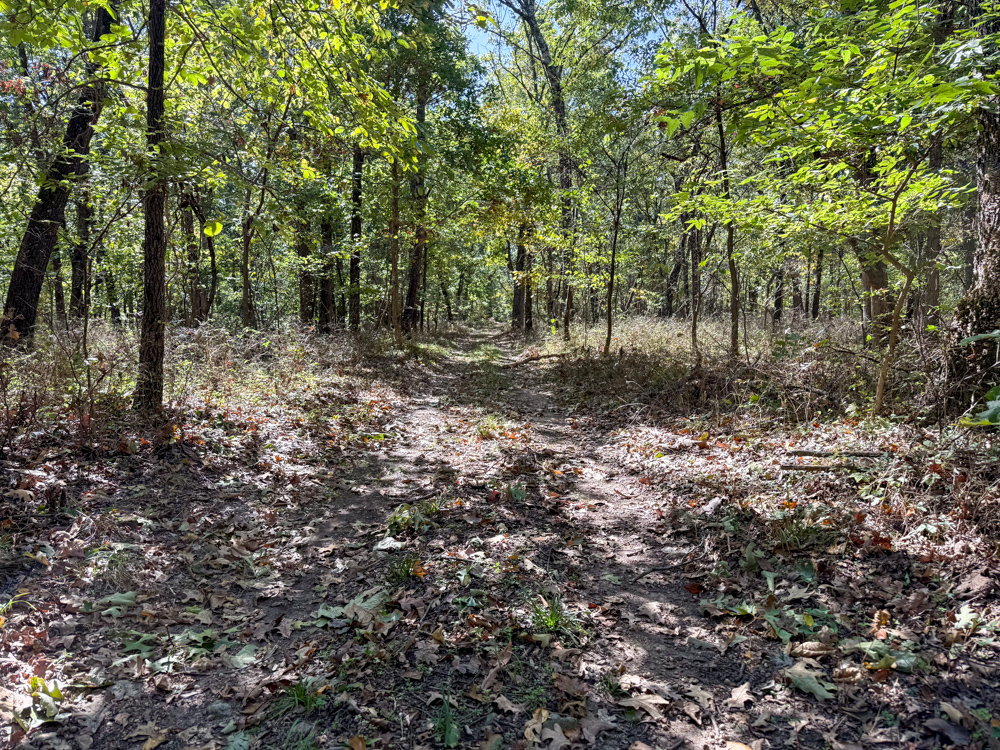 Premier Build Sites and Trophy Deer Habitat Near Carthage