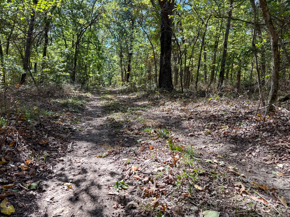 Premier Build Sites and Trophy Deer Habitat Near Carthage