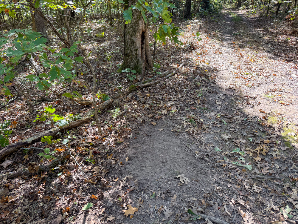Premier Build Sites and Trophy Deer Habitat Near Carthage