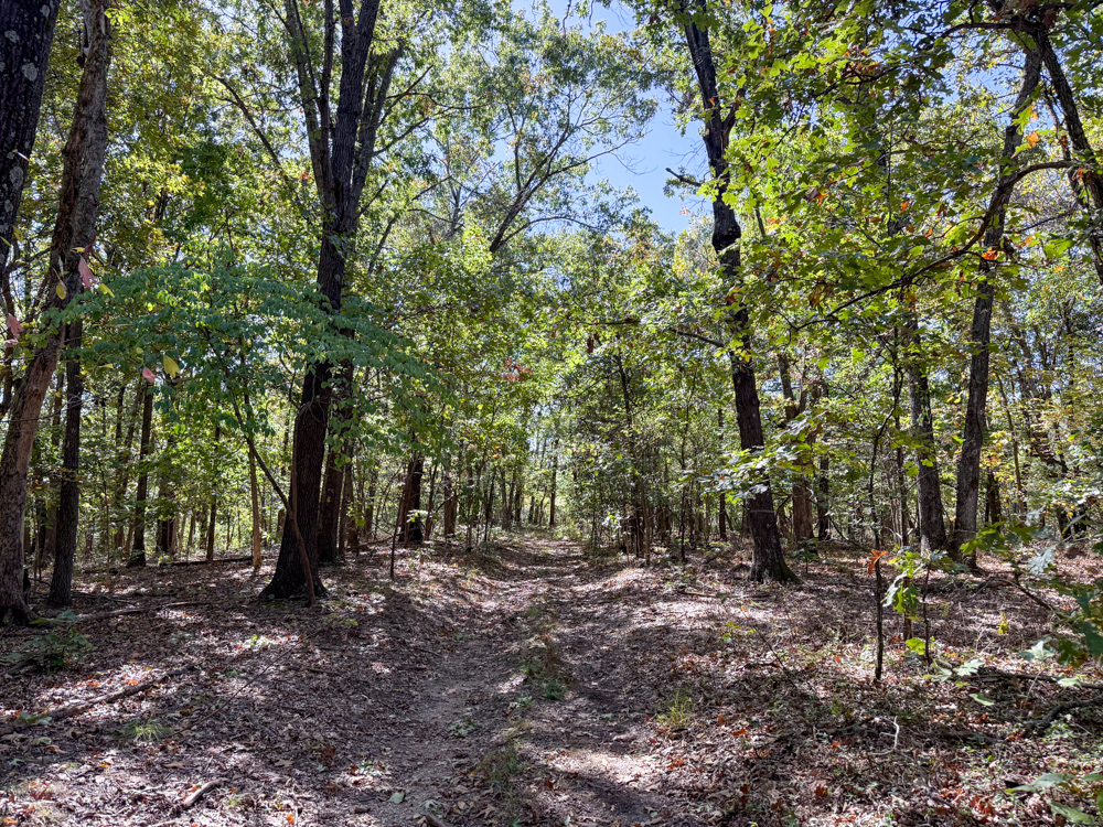 Premier Build Sites and Trophy Deer Habitat Near Carthage