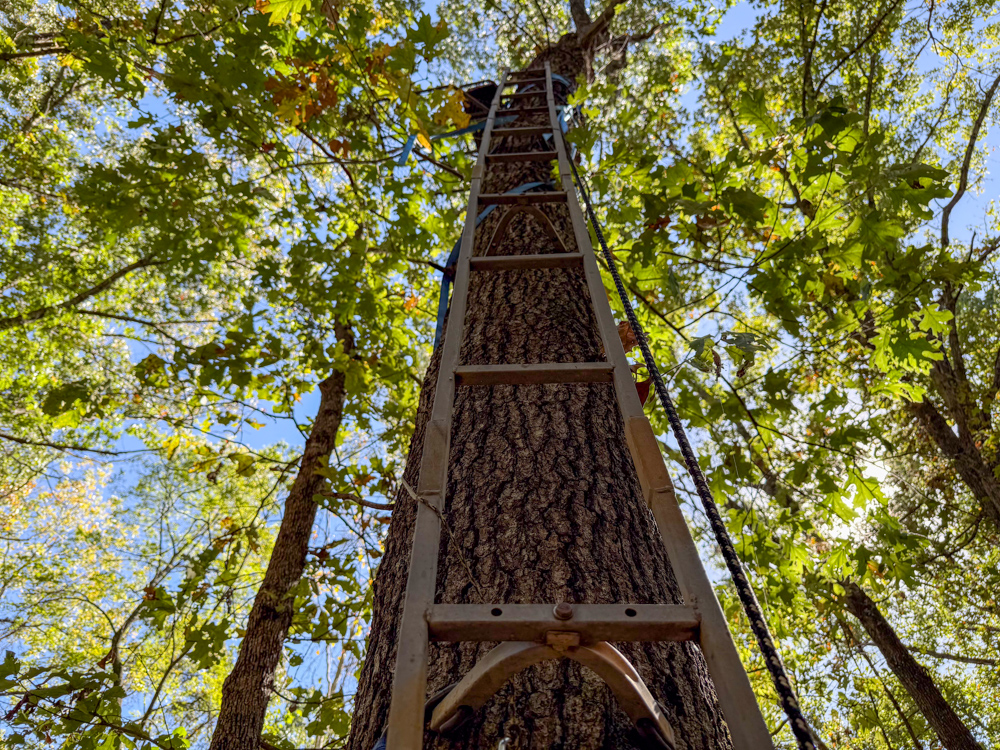 Premier Build Sites and Trophy Deer Habitat Near Carthage