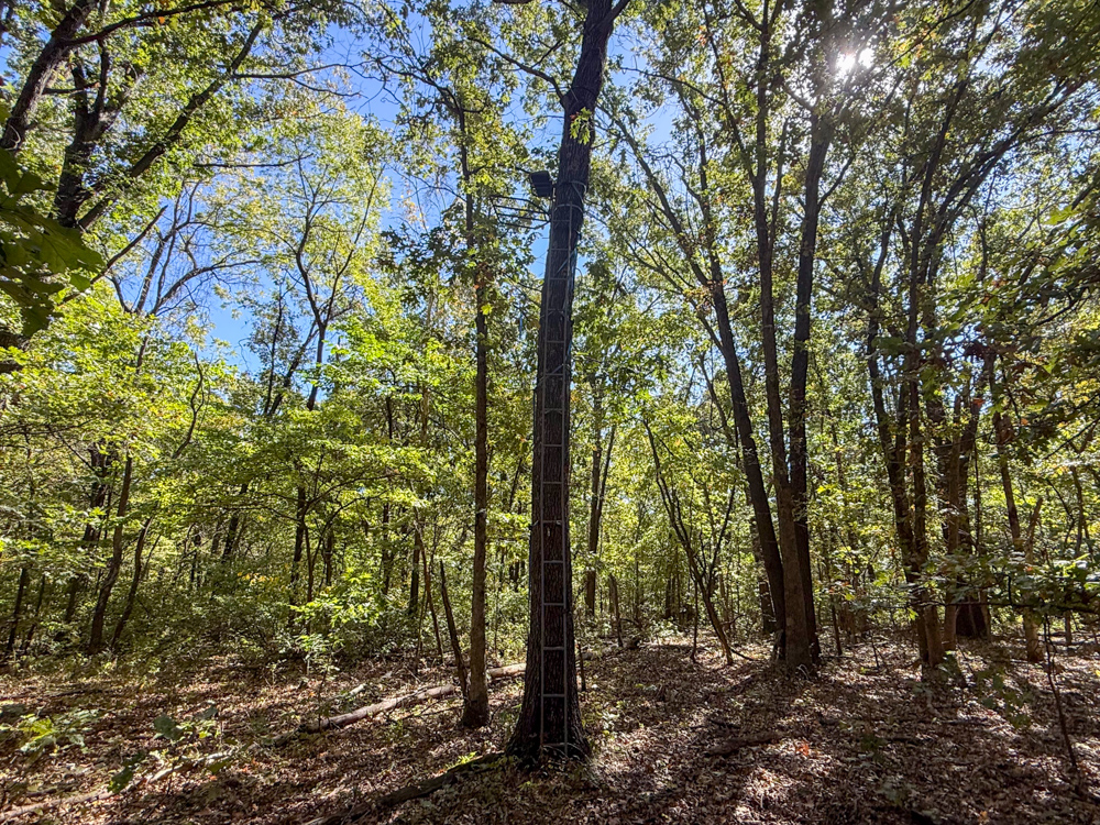 Premier Build Sites and Trophy Deer Habitat Near Carthage