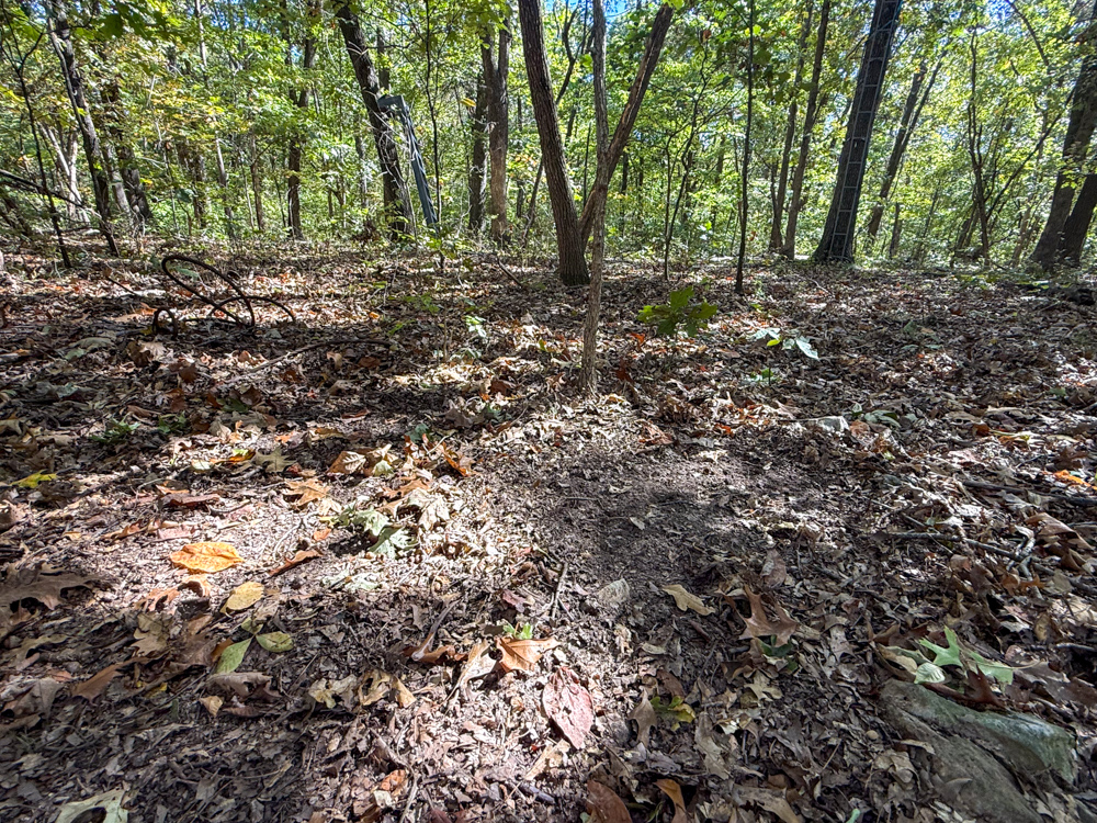 Premier Build Sites and Trophy Deer Habitat Near Carthage
